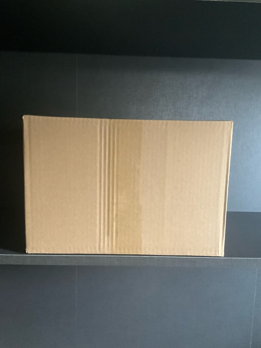 Mystery box seasonal/dog 10 items new
